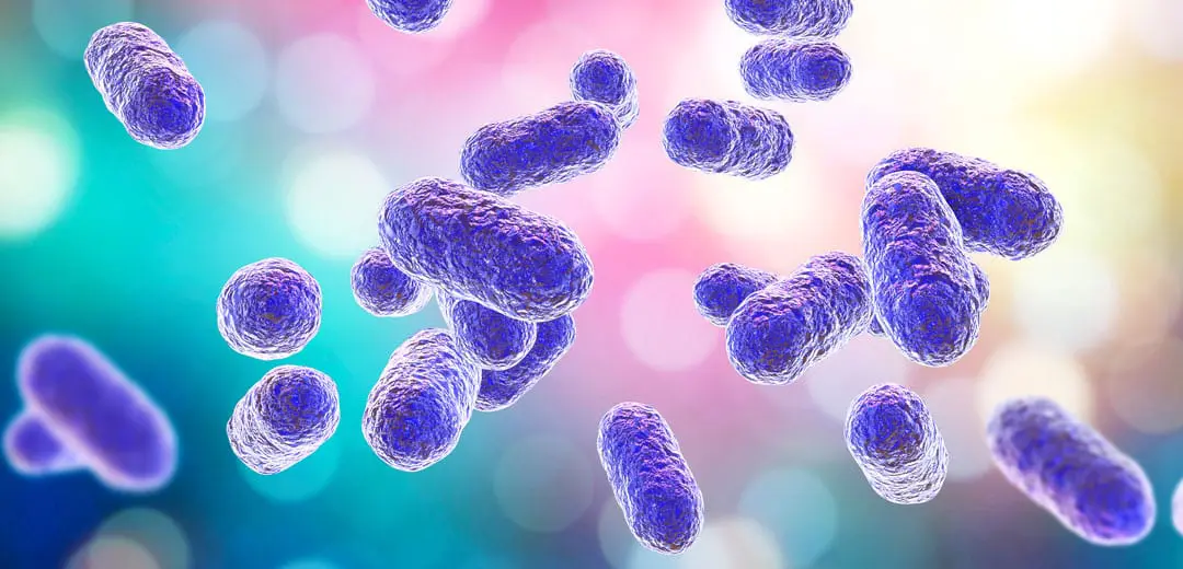 Chronic Gum Disease May Cause of Alzheimer’s, Study Claims